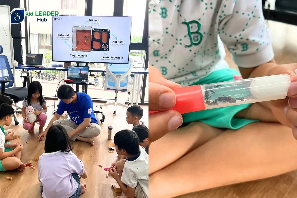 hế Giới Tự Nhiên & Khoa Học: Vun Đắp Yêu Thương và Khám Phá Bí Ẩn Liên Môn Sống Động
